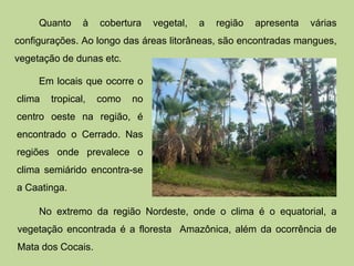 Quanto à cobertura vegetal, a região apresenta várias 
configurações. Ao longo das áreas litorâneas, são encontradas mangues, 
vegetação de dunas etc. 
Em locais que ocorre o 
clima tropical, como no 
centro oeste na região, é 
encontrado o Cerrado. Nas 
regiões onde prevalece o 
clima semiárido encontra-se 
a Caatinga. 
No extremo da região Nordeste, onde o clima é o equatorial, a 
vegetação encontrada é a floresta Amazônica, além da ocorrência de 
Mata dos Cocais. 
 