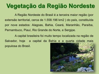 Vegetação da Região Nordeste 
A Região Nordeste do Brasil é a terceira maior região (por 
extensão territorial, cerca de 1.558.196 km2 ) do país, constituída 
por nove estados: Alagoas, Bahia, Ceará, Maranhão, Paraíba, 
Pernambuco, Piauí, Rio Grande do Norte, e Sergipe. 
A capital brasileira foi muito tempo localizada na região de 
Salvador, hoje a capital da Bahia e a quarta cidade mais 
populosa do Brasil. 
 