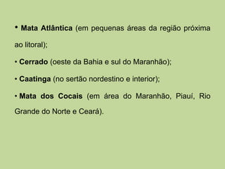 • Mata Atlântica (em pequenas áreas da região próxima 
ao litoral); 
• Cerrado (oeste da Bahia e sul do Maranhão); 
• Caatinga (no sertão nordestino e interior); 
• Mata dos Cocais (em área do Maranhão, Piauí, Rio 
Grande do Norte e Ceará). 
 