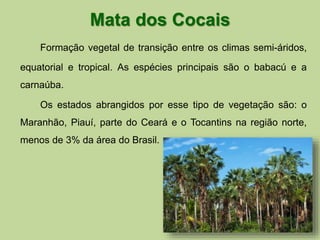 Mata dos Cocais 
Formação vegetal de transição entre os climas semi-áridos, 
equatorial e tropical. As espécies principais são o babacú e a 
carnaúba. 
Os estados abrangidos por esse tipo de vegetação são: o 
Maranhão, Piauí, parte do Ceará e o Tocantins na região norte, 
menos de 3% da área do Brasil. 
 