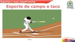 Esportes e suas classificações
Esporte de campo e taco
Imagem 8
 