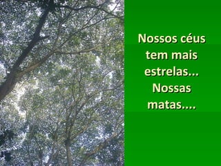 Nossos céus tem mais estrelas... Nossas matas.... 