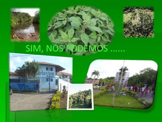 SIM, NÓS PODEMOS ...... 
