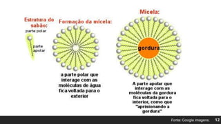 Fonte: Google imagens. 12
 