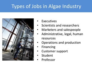 Types of Jobs in Algae Industry
• Executives
• Scientists and researchers
• Marketers and salespeople
• Administrative, le...