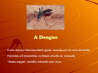 A Dengue É uma doença infecciosa febril aguda, causada por um virus da família  Flaviridae e é transmitida, no Brasil, através do  mosquito “ Aedes argypti”, também infectado pelo virus. 