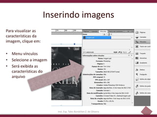 45
Inserindo imagens
Para visualizar as
características da
imagem, clique em:
• Menu vínculos
• Selecione a imagem
• Será exibida as
características do
arquivo
Inst. Esp. Tales Bündchen Z. de Oliveira
 