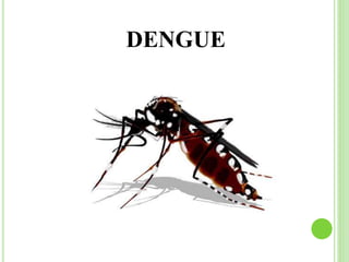 DENGUE
 
