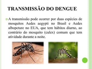 TRANSMISSÃO DO DENGUE
 A transmissão pode ocorrer por duas espécies de
mosquitos Aedes aegypti no Brasil e Aedes
albopcture no EUA, que tem hábitos diurno, ao
contrário do mosquito (culex) comum que tem
atividade durante a noite.
 