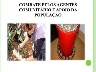 COMBATE PELOS AGENTES
COMUNITÁRIO E APOIO DA
POPULAÇÃO
 