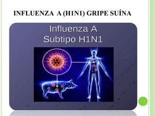 INFLUENZA A (H1N1) GRIPE SUÍNA
 