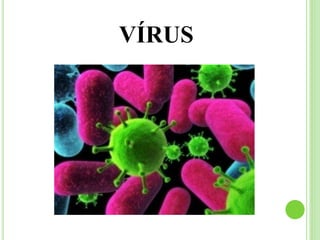 VÍRUS
 