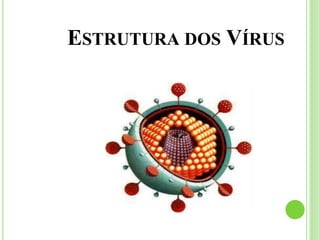 ESTRUTURA DOS VÍRUS
 