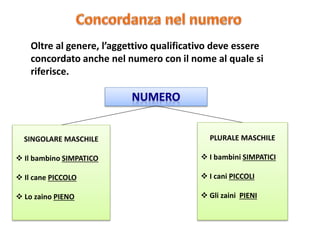 Oltre al genere, l’aggettivo qualificativo deve essere
concordato anche nel numero con il nome al quale si
riferisce.
SINGOLARE MASCHILE
 Il bambino SIMPATICO
 Il cane PICCOLO
 Lo zaino PIENO
PLURALE MASCHILE
 I bambini SIMPATICI
 I cani PICCOLI
 Gli zaini PIENI
 
