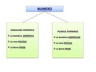 SINGOLARE FEMMINILE
 La bambina SIMPATICA
 La rana PICCOLA
 La borsa PIENA
PLURALE FEMMINILE
 Le bambine SIMPATICHE
 Le rane PICCOLE
 Le borse PIENE
 