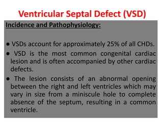 Ventricular Septal Defect (VSD)
Incidence and Pathophysiology:
● VSDs account for approximately 25% of all CHDs.
● VSD is the most common congenital cardiac
lesion and is often accompanied by other cardiac
defects.
● The lesion consists of an abnormal opening
between the right and left ventricles which may
vary in size from a miniscule hole to complete
absence of the septum, resulting in a common
ventricle.
 
