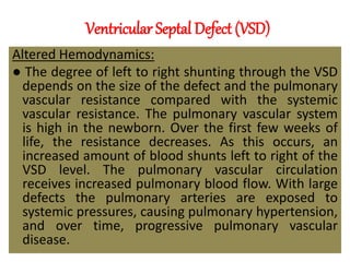 Altered Hemodynamics:
● The degree of left to right shunting through the VSD
depends on the size of the defect and the pulmonary
vascular resistance compared with the systemic
vascular resistance. The pulmonary vascular system
is high in the newborn. Over the first few weeks of
life, the resistance decreases. As this occurs, an
increased amount of blood shunts left to right of the
VSD level. The pulmonary vascular circulation
receives increased pulmonary blood flow. With large
defects the pulmonary arteries are exposed to
systemic pressures, causing pulmonary hypertension,
and over time, progressive pulmonary vascular
disease.
Ventricular Septal Defect (VSD)
 