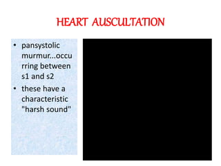 HEART AUSCULTATION
• pansystolic
murmur...occu
rring between
s1 and s2
• these have a
characteristic
"harsh sound"
 