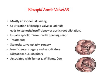 Bicuspid Aortic Valve/AS
• Mostly an incidental finding
• Calcification of bicuspid valve in later life
leads to stenosis/insufficiency or aortic root dilatation.
• Usually systolic murmur with opening snap
• Treatment:
- Stenosis: valvuloplasty, surgery
- Insufficiency: surgery and vasodilators
- Dilatation: ACE inhibitors
• Associated with Turner’s, Williams, CoA
 