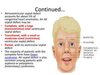 Continued…
• Atrioventricular septal defect
accounts for about 5% of
congenital heart anomalies. An AV
septal defect may be
• Complete, with a large
(nonrestrictive) inlet ventricular
septal defect
• Transitional, with a small or
moderate-sized (restrictive)
ventricular septal defect
• Partial, with no ventricular septal
defect
• The majority of patients with the
complete form have Down
syndrome. AV septal defect is also
common among patients with
asplenia or polysplenia
(heterotaxy) syndromes.
 