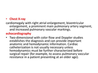 • Chest X-ray
cardiomegaly with right atrial enlargement, biventricular
enlargement, a prominent main pulmonary artery segment,
and increased pulmonary vascular markings.
echocardiography
• Two-dimensional with color flow and Doppler studies
establishes the diagnosis and can provide important
anatomic and hemodynamic information. Cardiac
catheterization is not usually necessary unless
hemodynamics must be further characterized before
surgical repair (for example, to assess pulmonary vascular
resistance in a patient presenting at an older age).
 