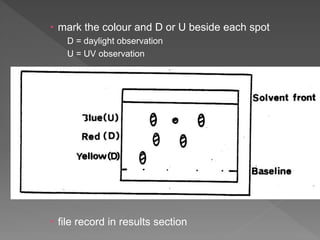  mark the colour and D or U beside each spot
D = daylight observation
U = UV observation
 file record in results section
 