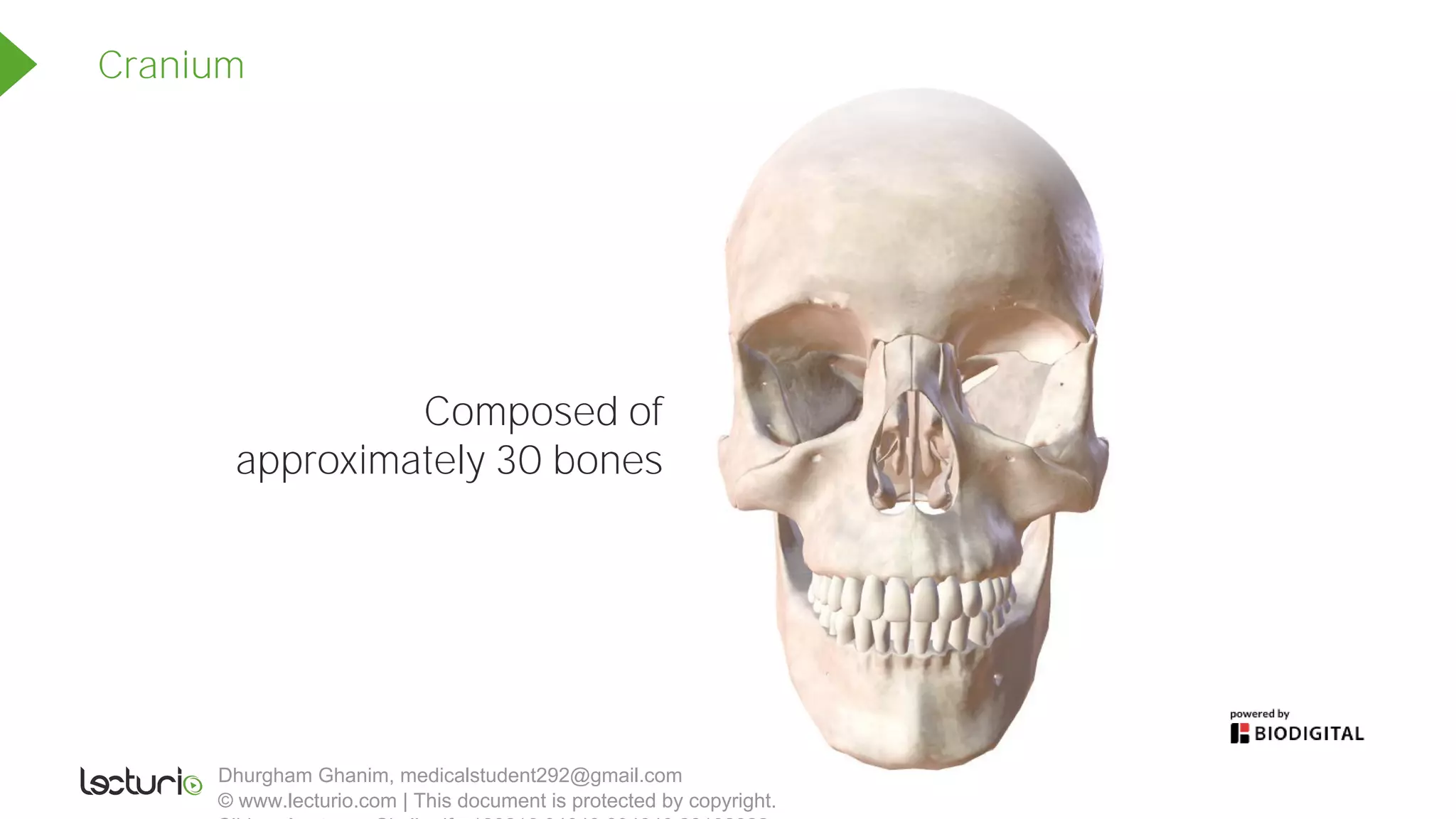 Slides_Anatomy_Skull.pdf