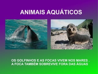 ANIMAIS AQUÁTICOS OS GOLFINHOS E AS FOCAS VIVEM NOS MARES . A FOCA TAMBÉM SOBREVIVE FORA DAS ÁGUAS 