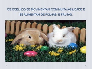 OS COELHOS SE MOVIMENTAM COM MUITA AGILIDADE E 
SE ALIMENTAM DE FOLHAS E FRUTAS. 
 