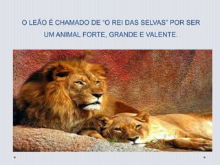 O LEÃO É CHAMADO DE “O REI DAS SELVAS” POR SER 
UM ANIMAL FORTE, GRANDE E VALENTE. 
 
