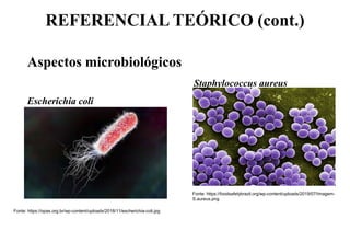 REFERENCIAL TEÓRICO (cont.)
Aspectos microbiológicos
Staphylococcus aureus
Escherichia coli
Fonte: https://opas.org.br/wp-content/uploads/2018/11/escherichia-coli.jpg
Fonte: https://foodsafetybrazil.org/wp-content/uploads/2019/07/Imagem-
S.aureus.png
 