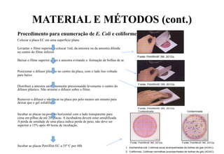 MATERIAL E MÉTODOS (cont.)
Procedimento para enumeração de E. Coli e coliformes
Colocar a placa EC em uma superfície plana
Levantar o filme superior e colocar 1mL da amostra ou da amostra diluída
no centro do filme inferior
Baixar o filme superior sobre a amostra evitando a formação de bolhas de ar.
Posicionar o difusor plástico no centro da placa, com o lado liso voltado
para baixo
Distribuir a amostra uniformemente pressionando levemente o centro do
difusor plástico. Não arrastar o difusor sobre o filme.
Remover o difusor e não tocar na placa por pelo menos um minuto para
deixar que o gel solidifique.
Incubar as placas na posição horizontal com o lado transparente para
cima em pilhas de até 20 placas. A incubadora deverá estar umidificada.
A perda de umidade de uma placa indica perda de peso, não deve ser
superior a 15% após 48 horas de incubação.
Incubar as placas Petrifilm EC a 35º C por 48h
 