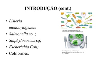 INTRODUÇÃO (cont.)
• Listeria
monocytogenes;
• Salmonella sp. ;
• Staphylococcus sp;
• Escherichia Coli;
• Coliformes.
Fonte:https://revistaanalytica.com.br/wp-
content/uploads/2020/01/bacteria-960x675.jpg
Fonte: http:/ /hnscpm.org.b r/storage/
app/uploads/public/cbc/6a1/607/thumb__893_432
_0_0_crop.jpg
 