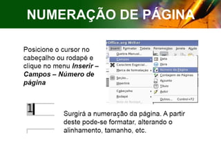 NUMERAÇÃO DE PÁGINA 