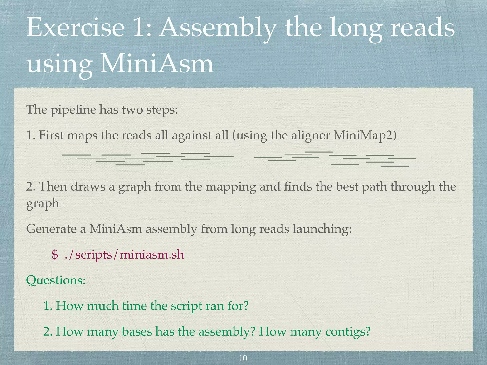 Exercise 1: Assembly the long reads
using MiniAsm
The pipeline has two steps:
1. First maps the reads all against all (using the aligner MiniMap2)
2. Then draws a graph from the mapping and ﬁnds the best path through the
graph
Generate a MiniAsm assembly from long reads launching:
$ ./scripts/miniasm.sh
Questions:
1. How much time the script ran for?
2. How many bases has the assembly? How many contigs?
10
 