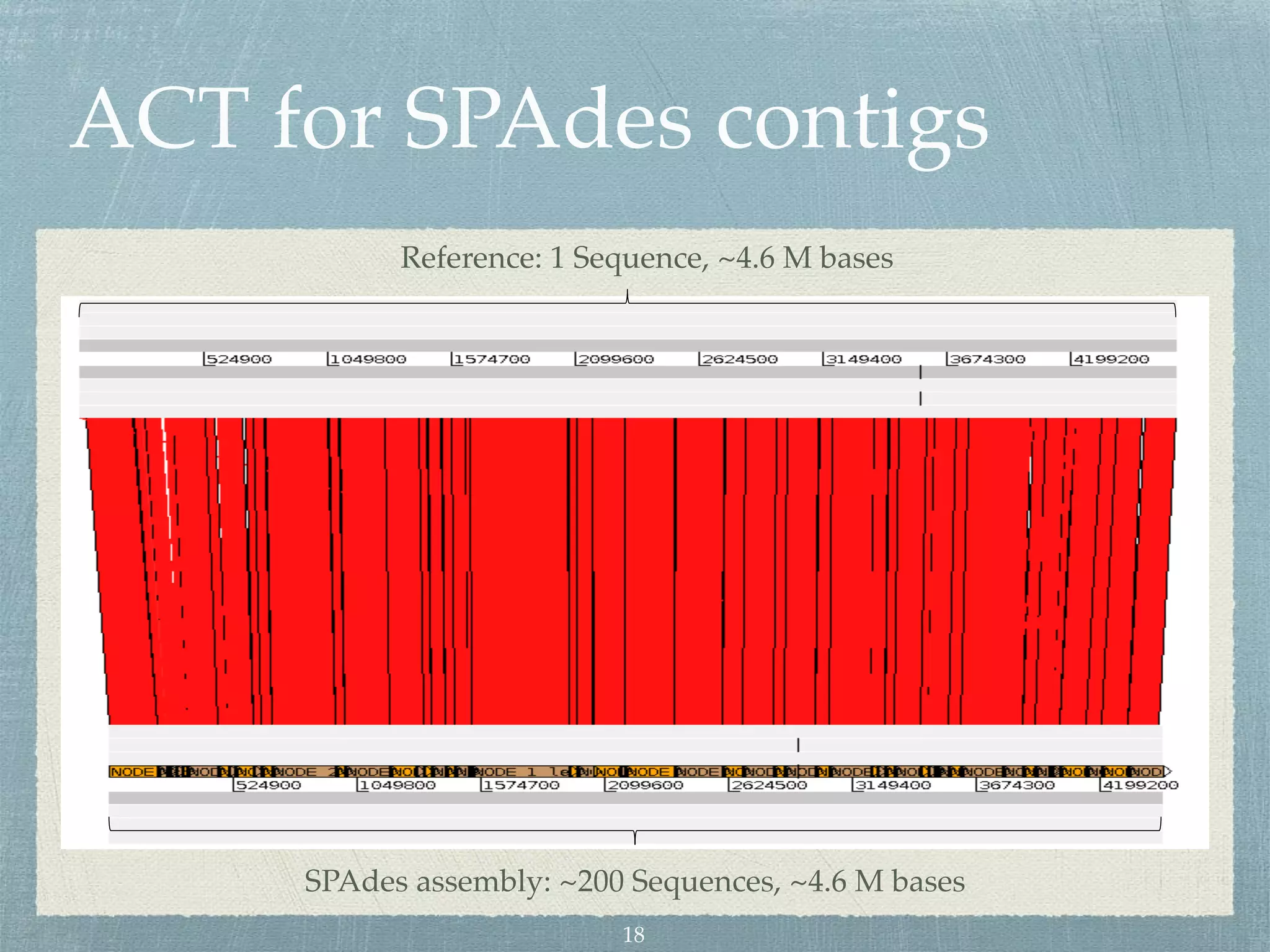 ACT for SPAdes contigs
Reference: 1 Sequence, ~4.6 M bases
SPAdes assembly: ~200 Sequences, ~4.6 M bases
18
 
