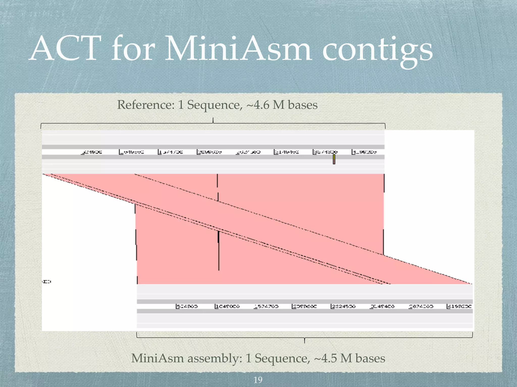 Reference: 1 Sequence, ~4.6 M bases
MiniAsm assembly: 1 Sequence, ~4.5 M bases
19
ACT for MiniAsm contigs
 