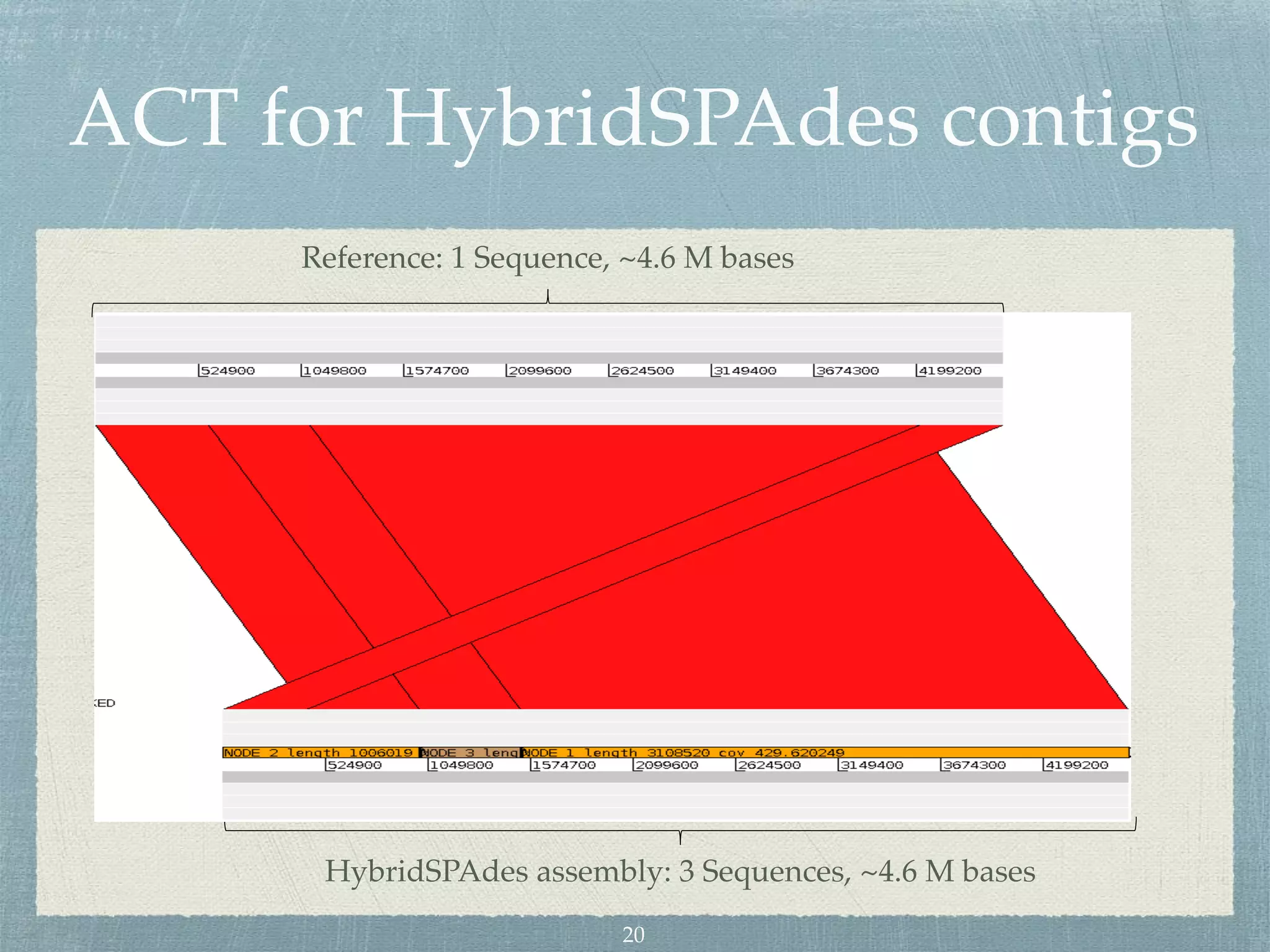 ACT for HybridSPAdes contigs
Reference: 1 Sequence, ~4.6 M bases
HybridSPAdes assembly: 3 Sequences, ~4.6 M bases
20
 