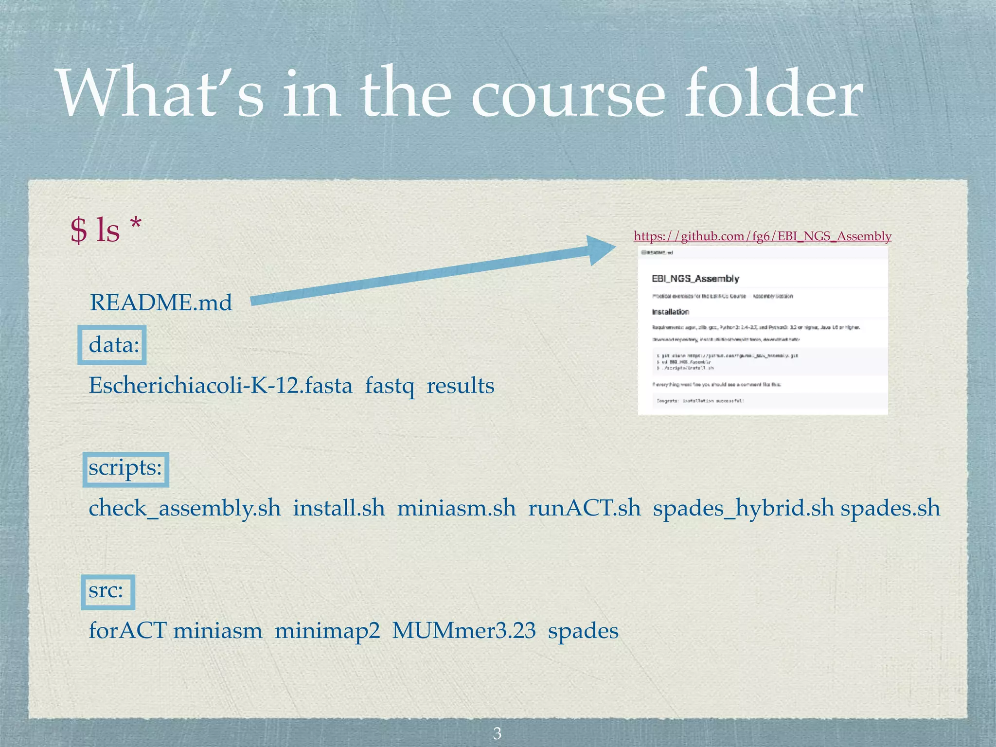 What’s in the course folder
$ ls *
README.md
data:
Escherichiacoli-K-12.fasta fastq results
scripts:
check_assembly.sh install.sh miniasm.sh runACT.sh spades_hybrid.sh spades.sh
src:
forACT miniasm minimap2 MUMmer3.23 spades
https://github.com/fg6/EBI_NGS_Assembly
3
 