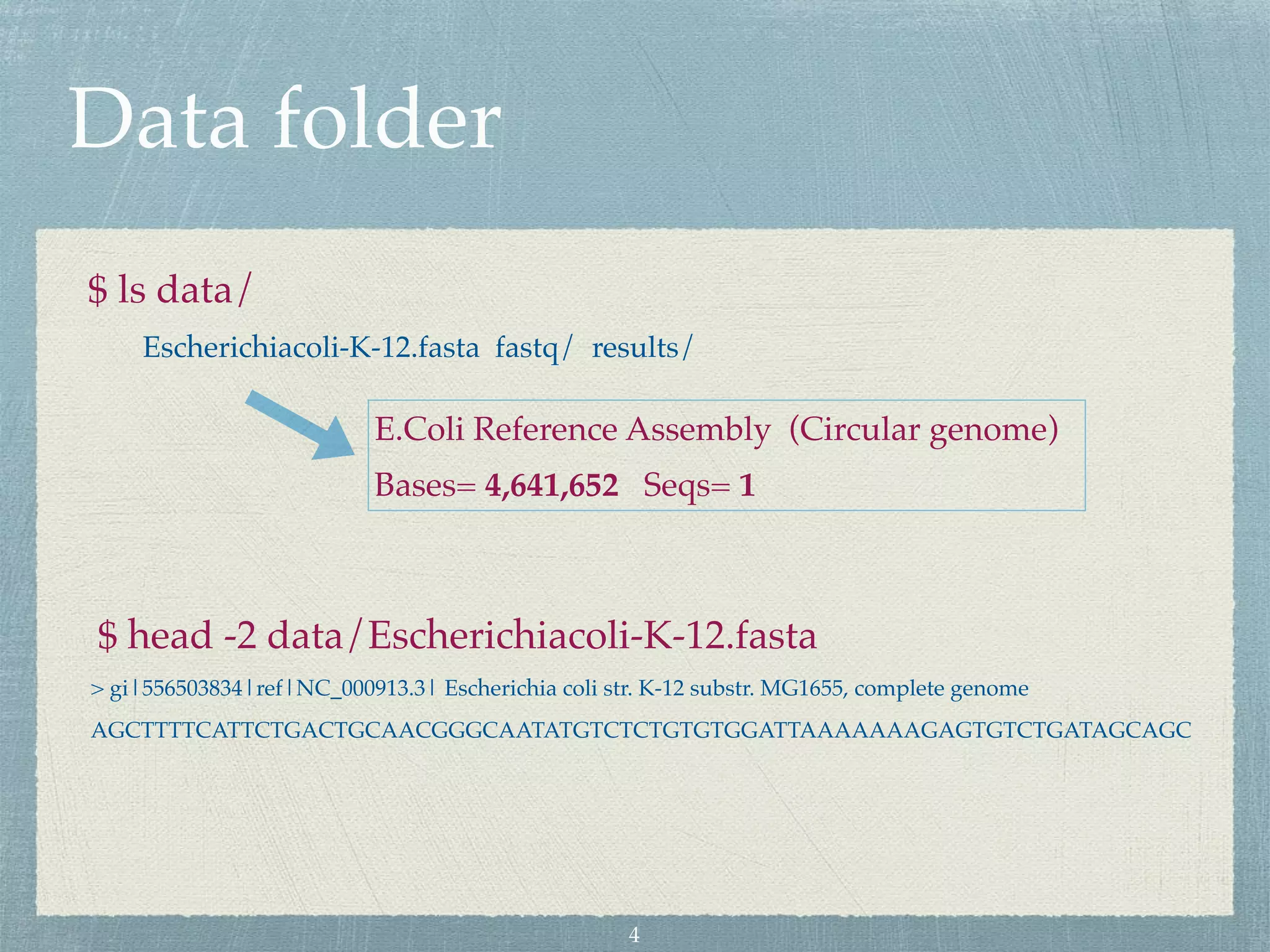 Data folder
$ ls data/
Escherichiacoli-K-12.fasta fastq/ results/
$ head -2 data/Escherichiacoli-K-12.fasta
> gi|556503834|ref|NC_000913.3| Escherichia coli str. K-12 substr. MG1655, complete genome
AGCTTTTCATTCTGACTGCAACGGGCAATATGTCTCTGTGTGGATTAAAAAAAGAGTGTCTGATAGCAGC
E.Coli Reference Assembly (Circular genome)
Bases= 4,641,652 Seqs= 1
4
 