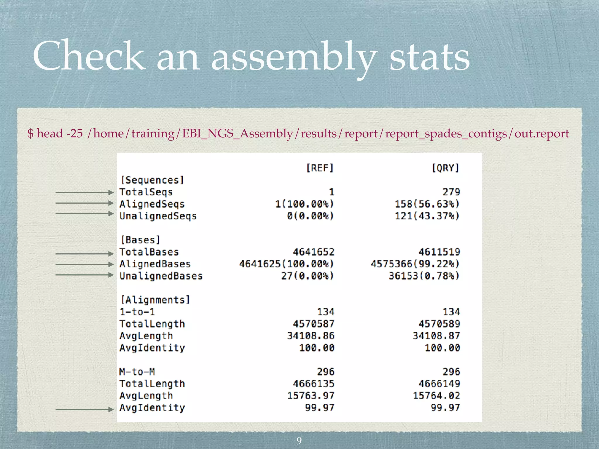 Check an assembly stats
$ head -25 /home/training/EBI_NGS_Assembly/results/report/report_spades_contigs/out.report
9
 