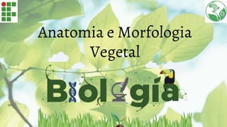 Anatomia e Morfologia
Vegetal
 