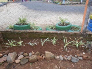 Slides atividades da semana