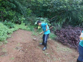 Slides atividades da semana