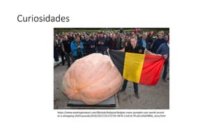Curiosidades
https://www.washingtonpost.com/lifestyle/kidspost/belgian-mans-pumpkin-sets-world-record-
at-a-whopping-2624-pounds/2016/10/17/2c37272e-9470-11e6-bc79-af1cd3d2984b_story.html
 