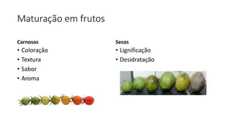 Maturação em frutos
Carnosos
• Coloração
• Textura
• Sabor
• Aroma
Secos
• Lignificação
• Desidratação
 