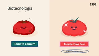 Tomate comum Tomate Flavr Savr
1992
Biotecnologia
Beta poligalacturonase
 
