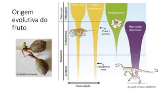 Origem
evolutiva do
fruto
doi.org/10.1073/pnas.1820863116
Diversidade
Amborella trichopoda
 
