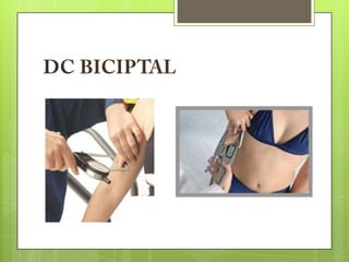 Slides avaliação física