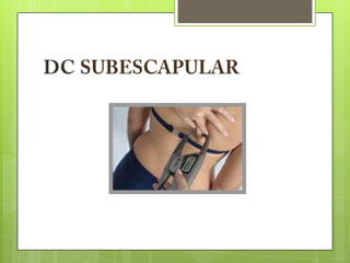 Slides avaliação física